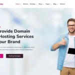 Domting - Domain and Hosting Provider Company and Agency Elementor WordPress Theme