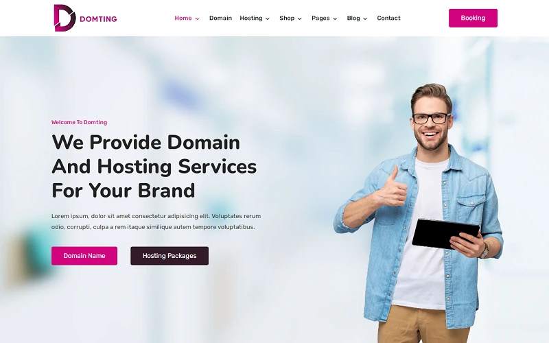 Domting - Domain and Hosting Provider Company and Agency Elementor WordPress Theme