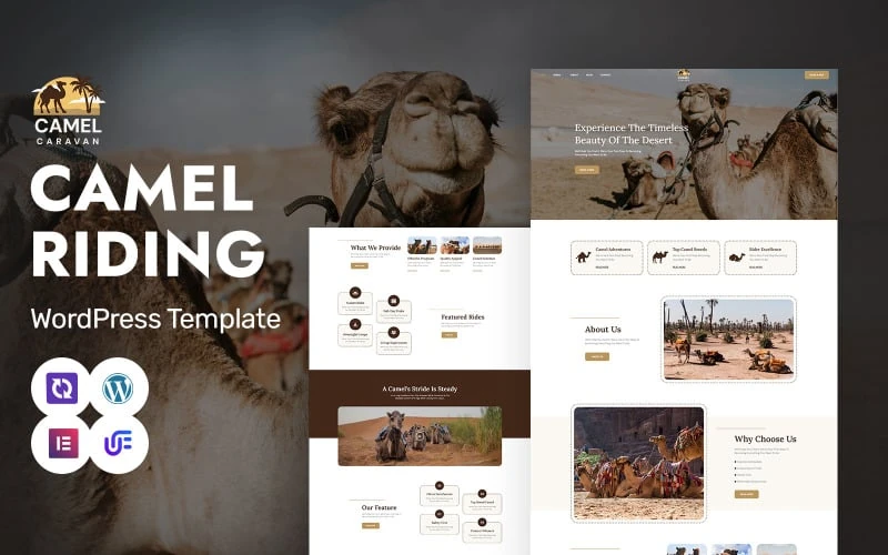 Camel Caravan - Camel Safari And Adventure Tours WordPress Elementor Theme
