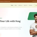 TishFengShui - Feng Shui WordPress Theme